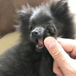 Meet your Posher, Vance